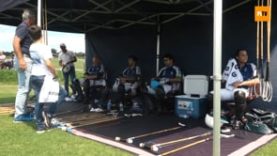 Q&A – Alessandro Bazzoni