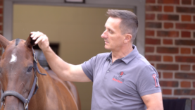 Screen Shot 2019-08-27 at 18.01.47