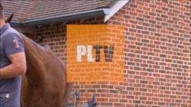 Q&A – Spencer Mccarthy