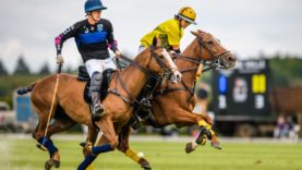 4B3ECC87-0F57-4899-9AC7-0BE307F20394