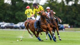 WhatsApp Image 2019-09-08 at 11.27.20 PM