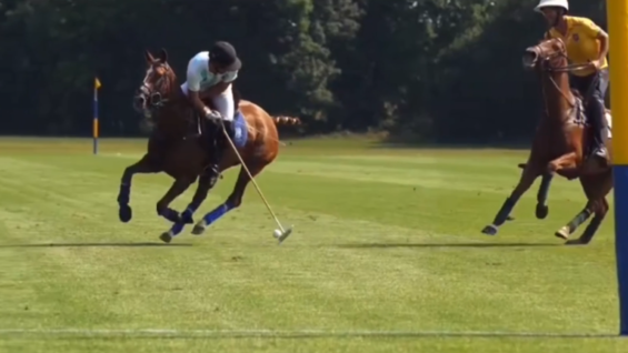 Screen Shot 2019-10-03 at 10.03.45