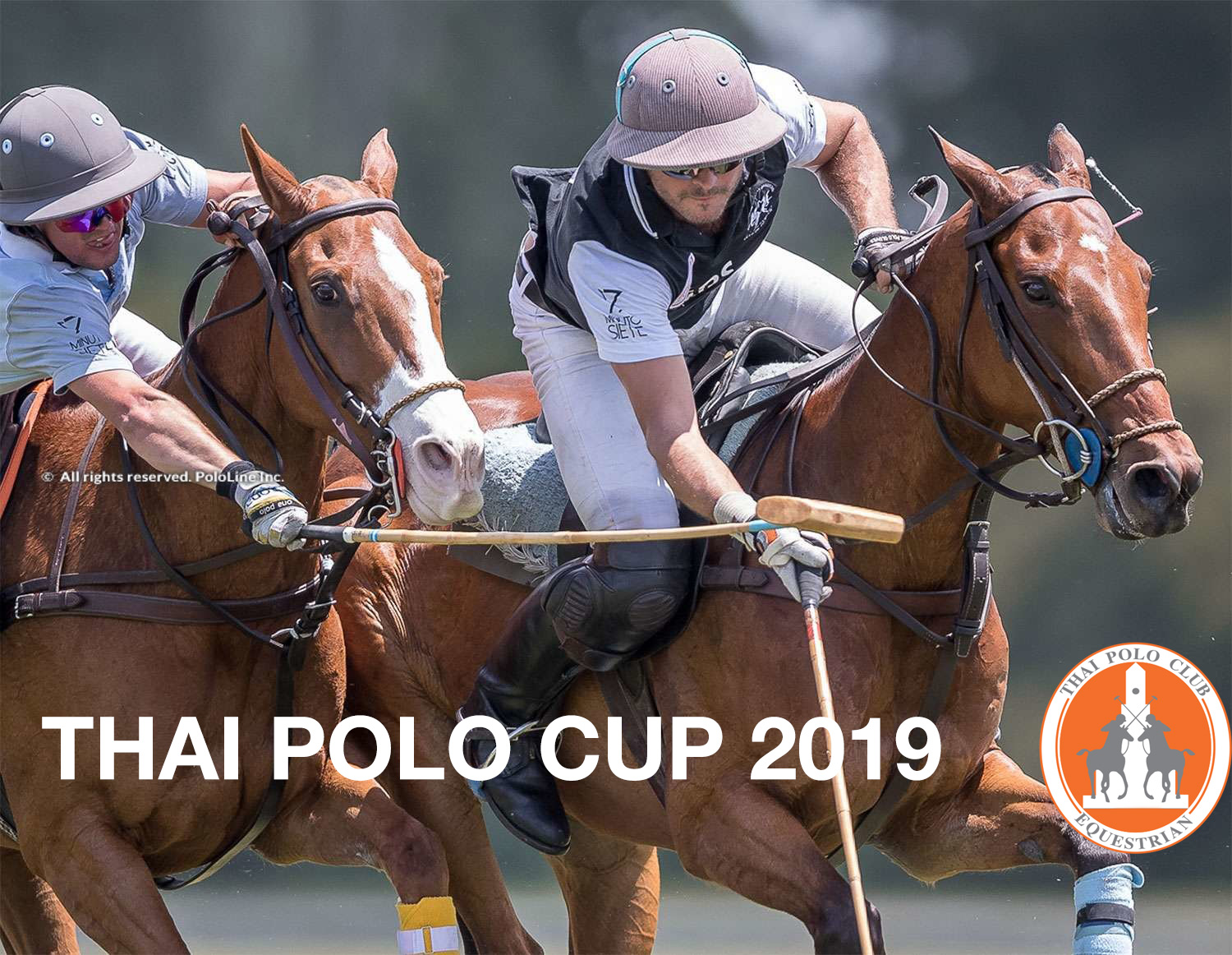 thai polo cup 2019