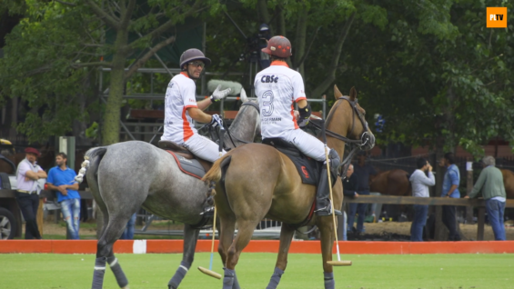 Captura de pantalla (258)