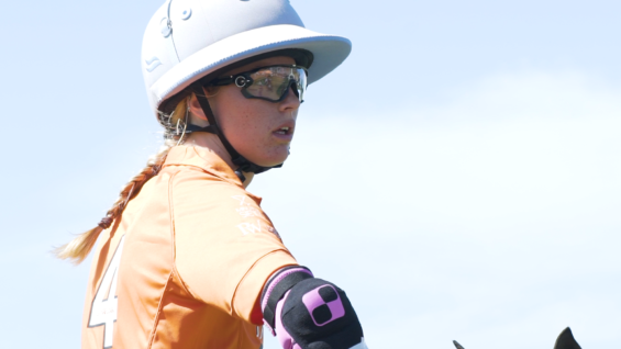 Screen Shot 2019-11-09 at 00.35.35