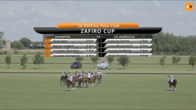 Screen Shot 2019-11-14 at 4.37.13 PM