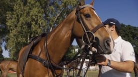 La Dolfina v Las Monjitas