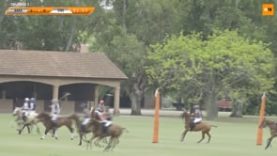 Thai Polo Cup – Amadeus v La Ensenada
