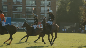 Captura de pantalla (266)