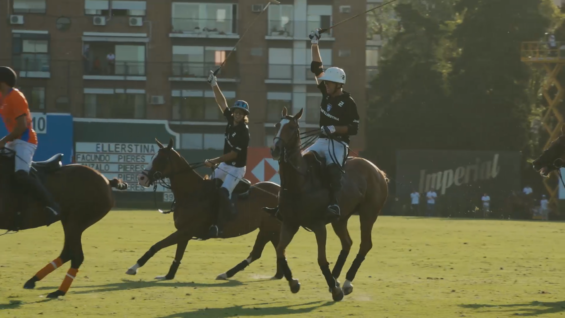 Captura de pantalla (266)