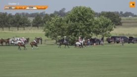 Ladies Cup Final – Cote d’Azur v The Villages Polo