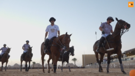 Screen Shot 2020-01-16 at 19.26.22