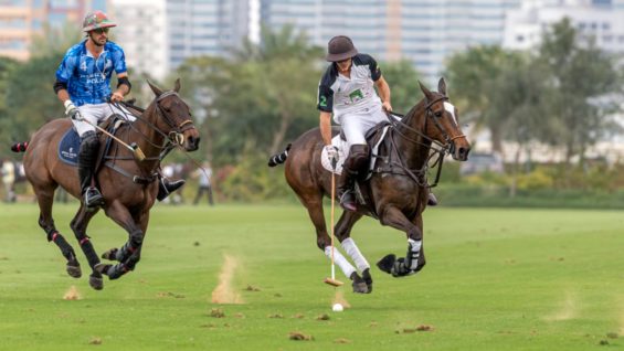 WhatsApp Image 2020-01-26 at 21.41.55