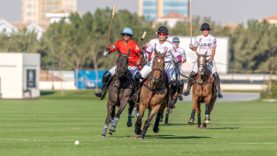 WhatsApp Image 2020-01-31 at 23.00.54