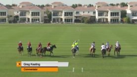 Dubai Silver Cup – UAE v Wolves