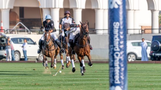 17EF03F1-CE4A-4FDA-8DEE-D98E7B36F3F8