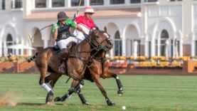 7021F49E-C7F5-4F3A-A77A-6E87537FA36F