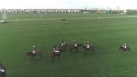 Captura de pantalla (296)