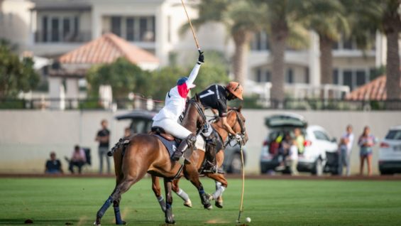 WhatsApp Image 2020-02-18 at 14.48.25