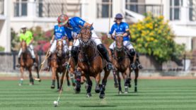 WhatsApp Image 2020-02-19 at 8.40.20 PM