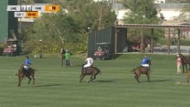 Dubai Gold Cup – UAE v Habtoor
