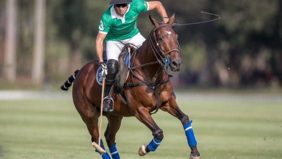 200125_MC_0319 – copia