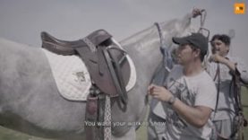 Dubai Gold Cup Series – A Groom’s Regular Day