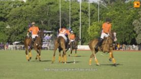 Facundo Sola – Part 3