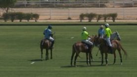 HH President of UAE Polo Cup – Abu Dhabi v Desert Palm
