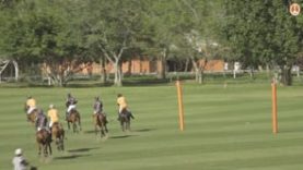 Thai Polo Cup – The Next Level vs B. Grimm