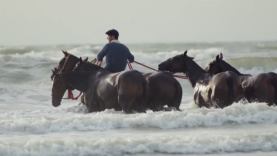 Captura de pantalla (61)