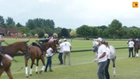 Sebastian Merlos – Monterosso Vikings PLTV