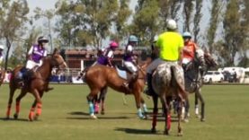 Thai Polo & Pink Polo Argentina 2020