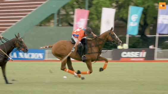 Screen Shot 2020-07-16 at 19.47.46