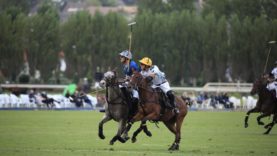 245fd470-3e85-45ea-81f7-bc4ad4aa6668