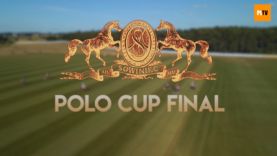 Captura de pantalla (381)