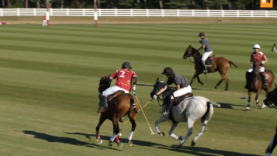 Screen Shot 2020-08-06 at 19.41.20