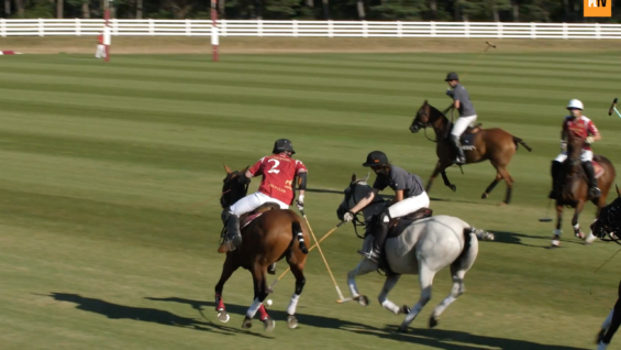 Screen Shot 2020-08-06 at 19.41.20