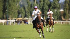 e6d56731-416f-4363-9fbb-0eaa6b0df7fe