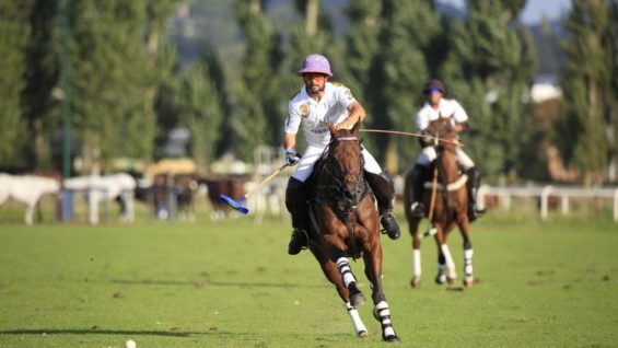 e6d56731-416f-4363-9fbb-0eaa6b0df7fe