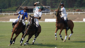 tapasantimarambio-caesar