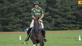 Screen Shot 2020-09-15 at 04.55.16