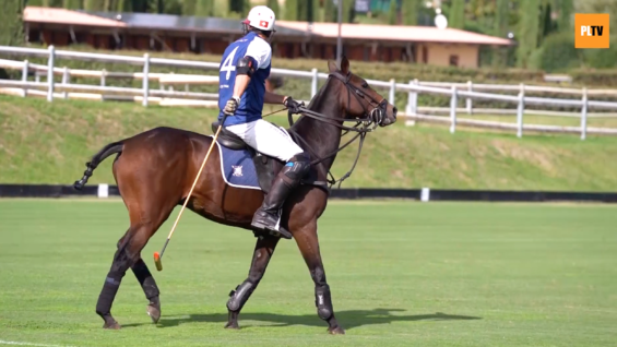 Screen Shot 2020-09-26 at 17.32.20