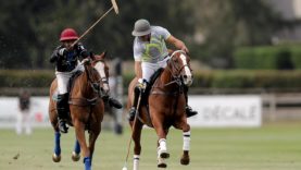 WhatsApp Image 2020-09-08 at 16.54.52