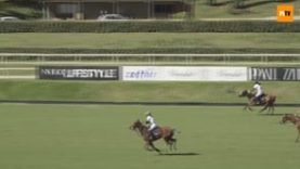 Ginevra Visconti – Villa a Sesta Gold Cup