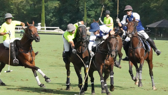 tapafernando-frankie