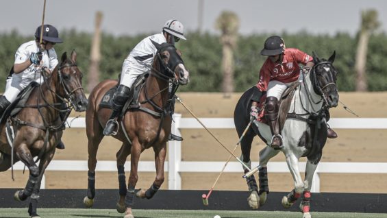 WhatsApp Image 2020-10-10 at 2.16.49 PM (4)