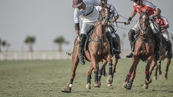 WhatsApp Image 2020-10-10 at 4.23.49 PM