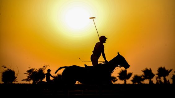 WhatsApp Image 2020-10-15 at 5.27.54 PM (5)