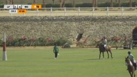 Junior Kings Polo Masters Cup 2020 – Mangroovy v La Familia